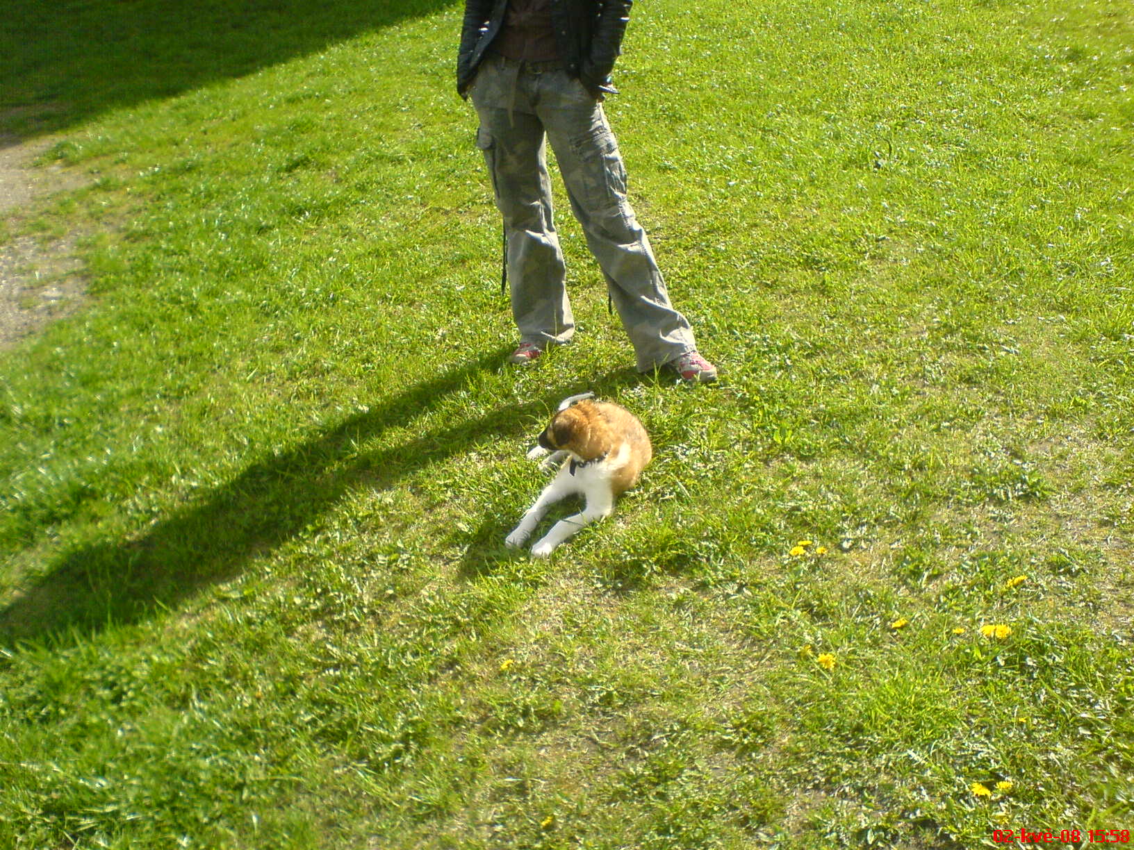 DSC00238.JPG
