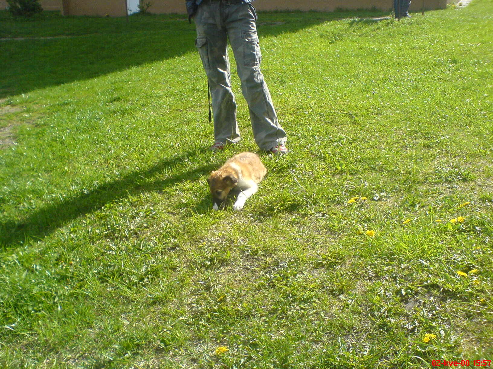 DSC00237.JPG
