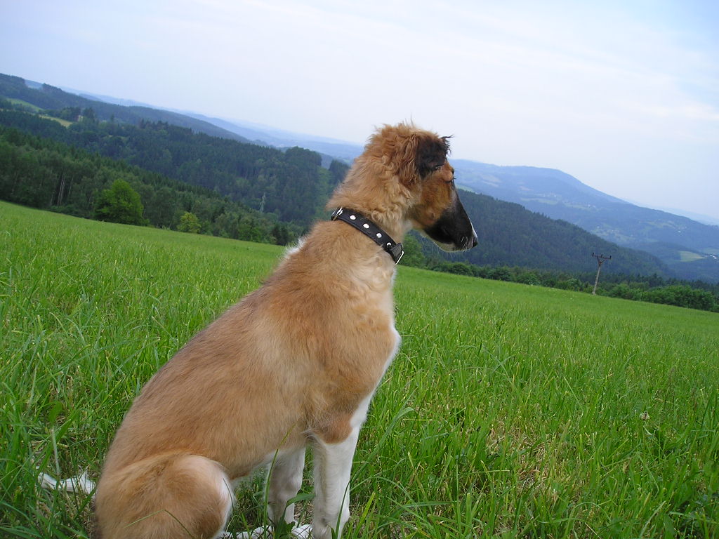P1010022.JPG