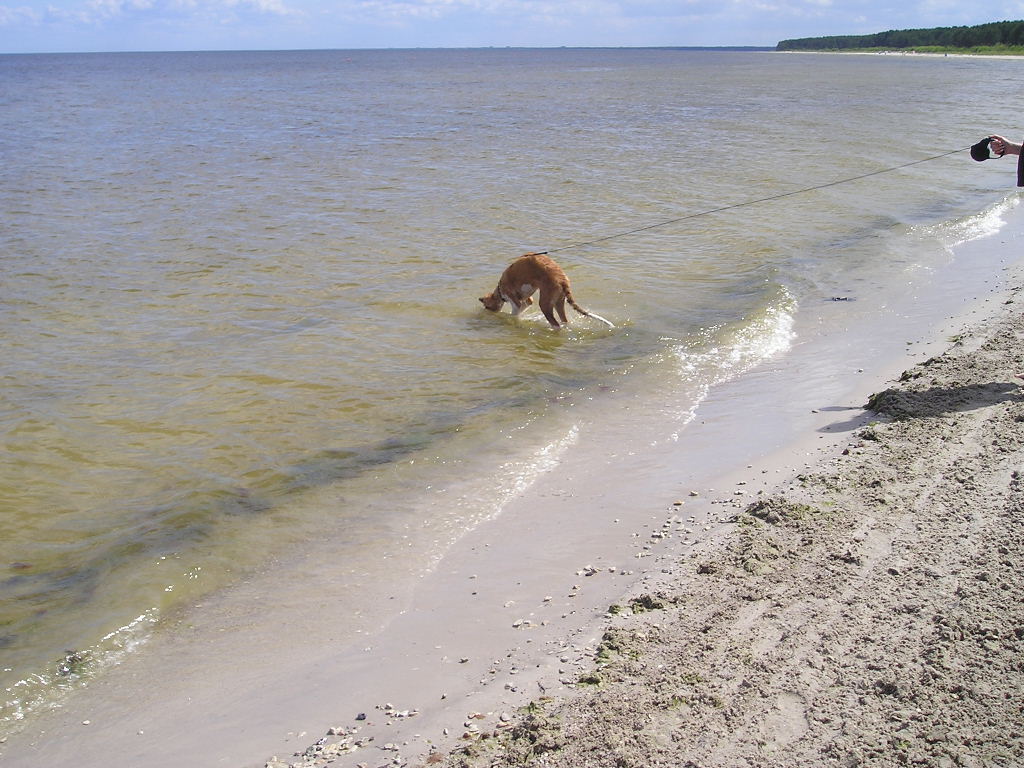 P1010024.JPG1.JPG