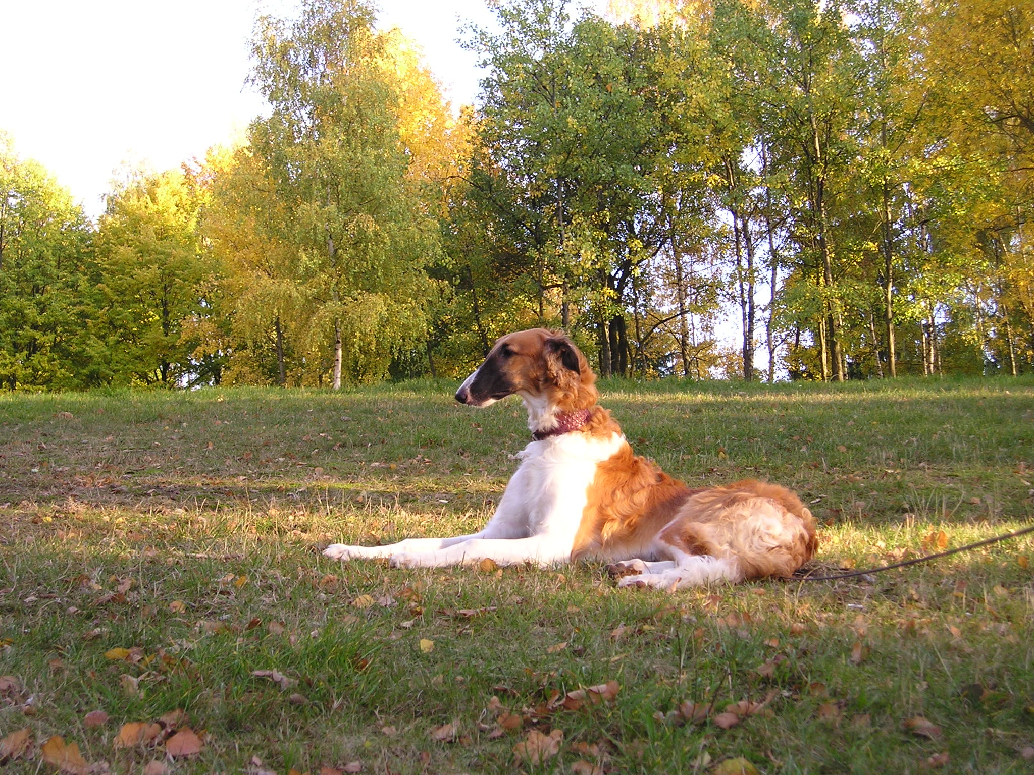 P1010042.JPG4.JPG
