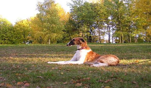 P1010042.JPG41.JPG