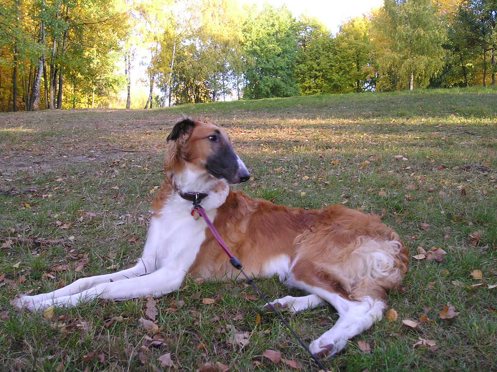P1010044.JPG