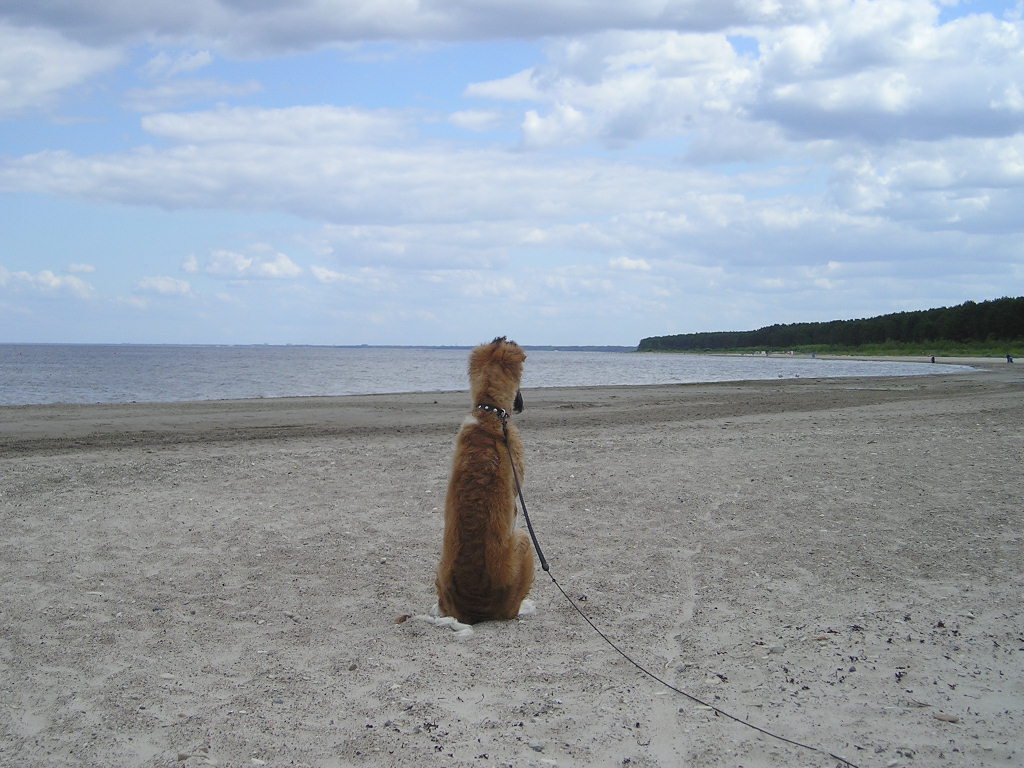 P1010049.JPG